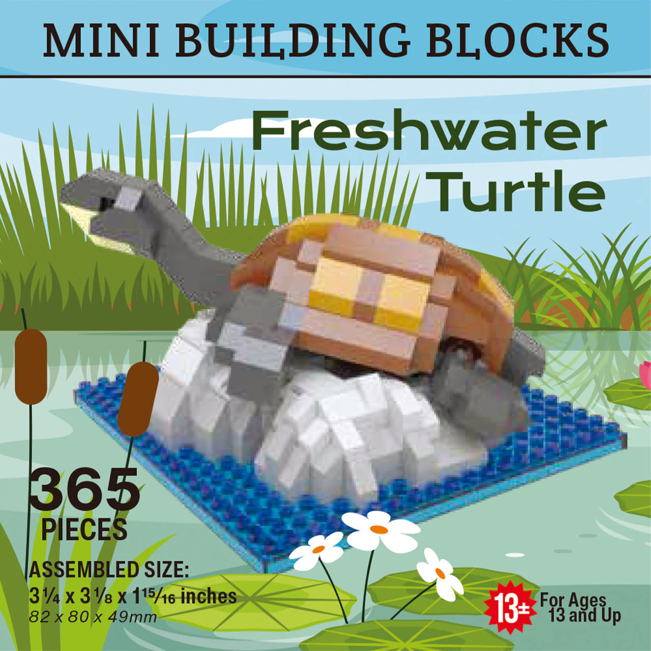 Mini Block Freshwater Turtle