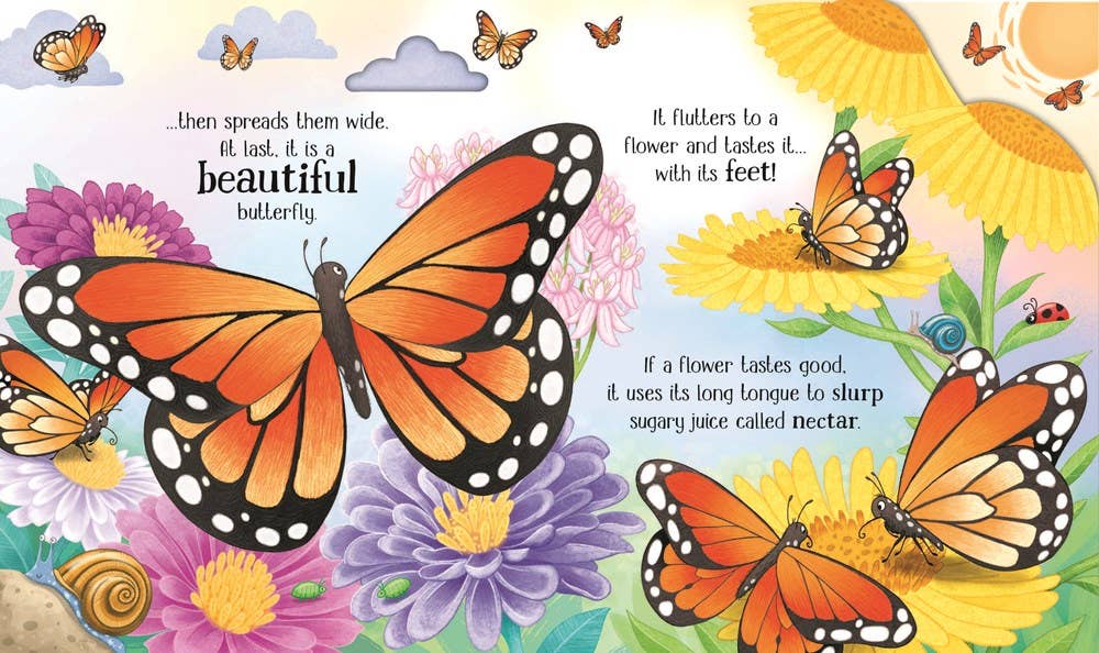 One Little Butterfly board book : Usborne