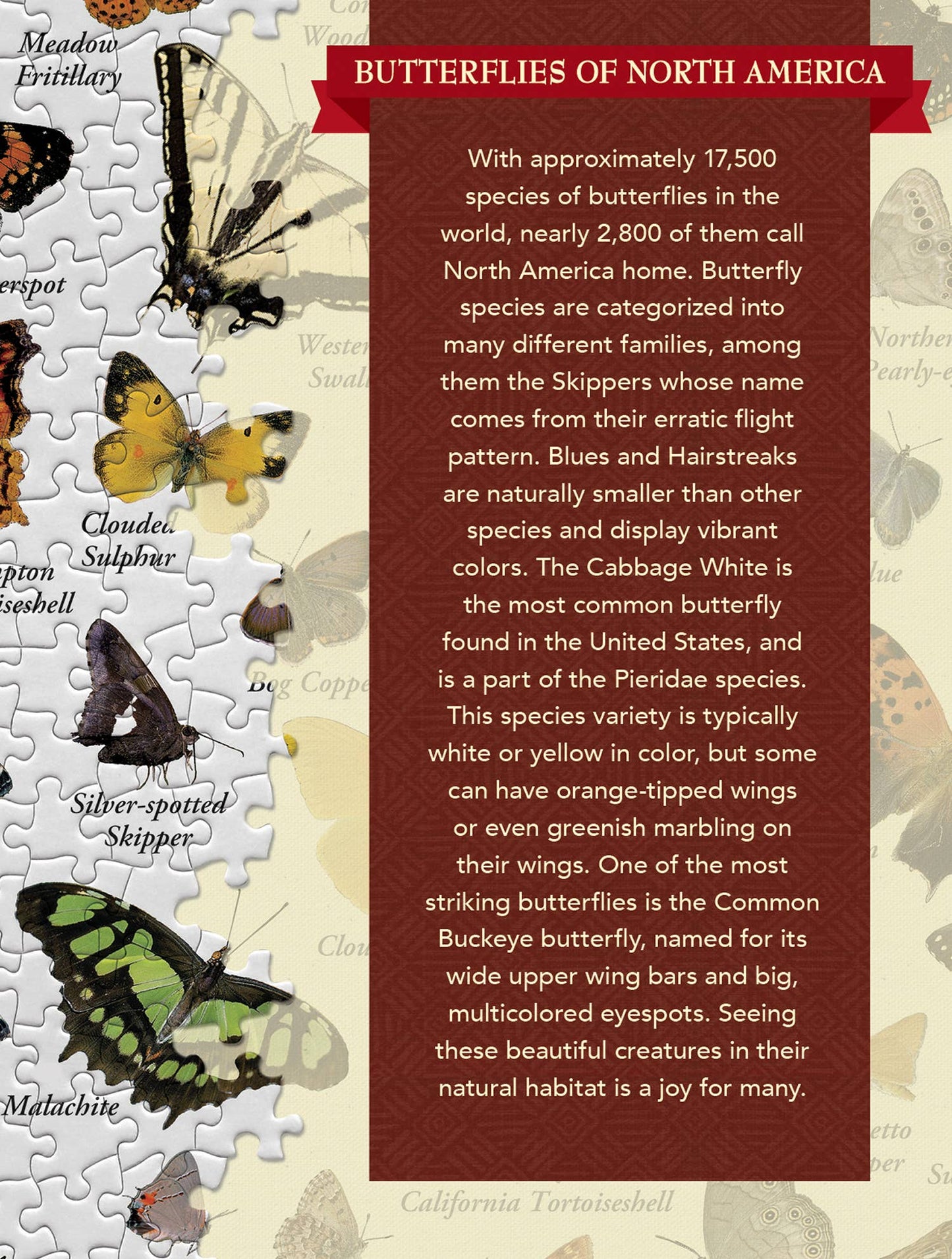 Butterflies of North America 1000 Piece Puzzle