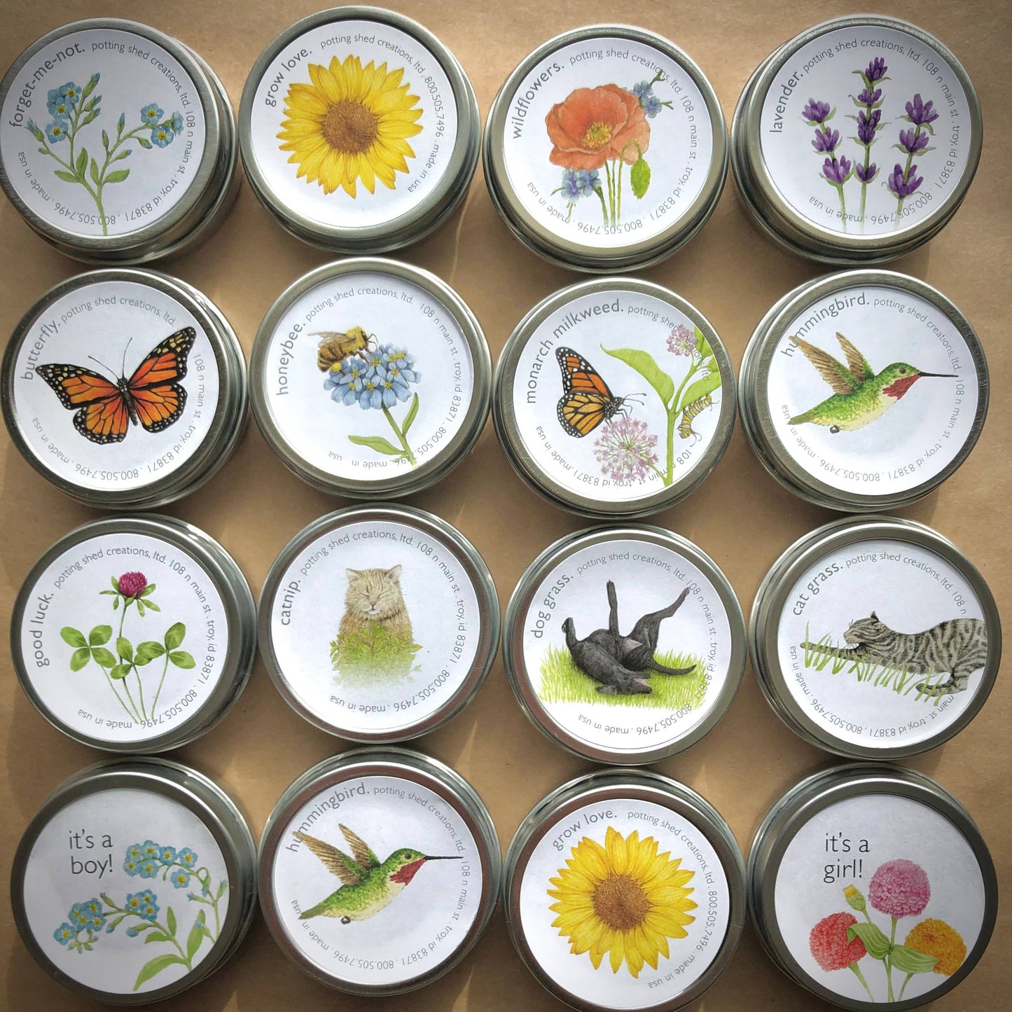 Garden Sprinkles | Monarch Milkweed | Butterfly | Spring