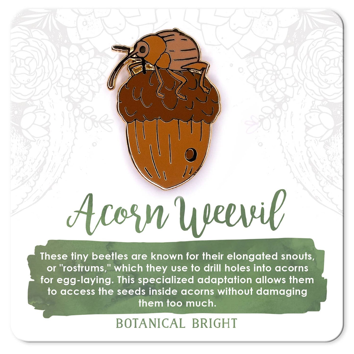 Acorn Weevil Enamel Pin