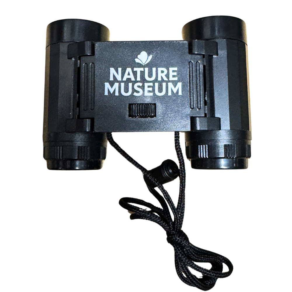 Nature Museum Binoculars