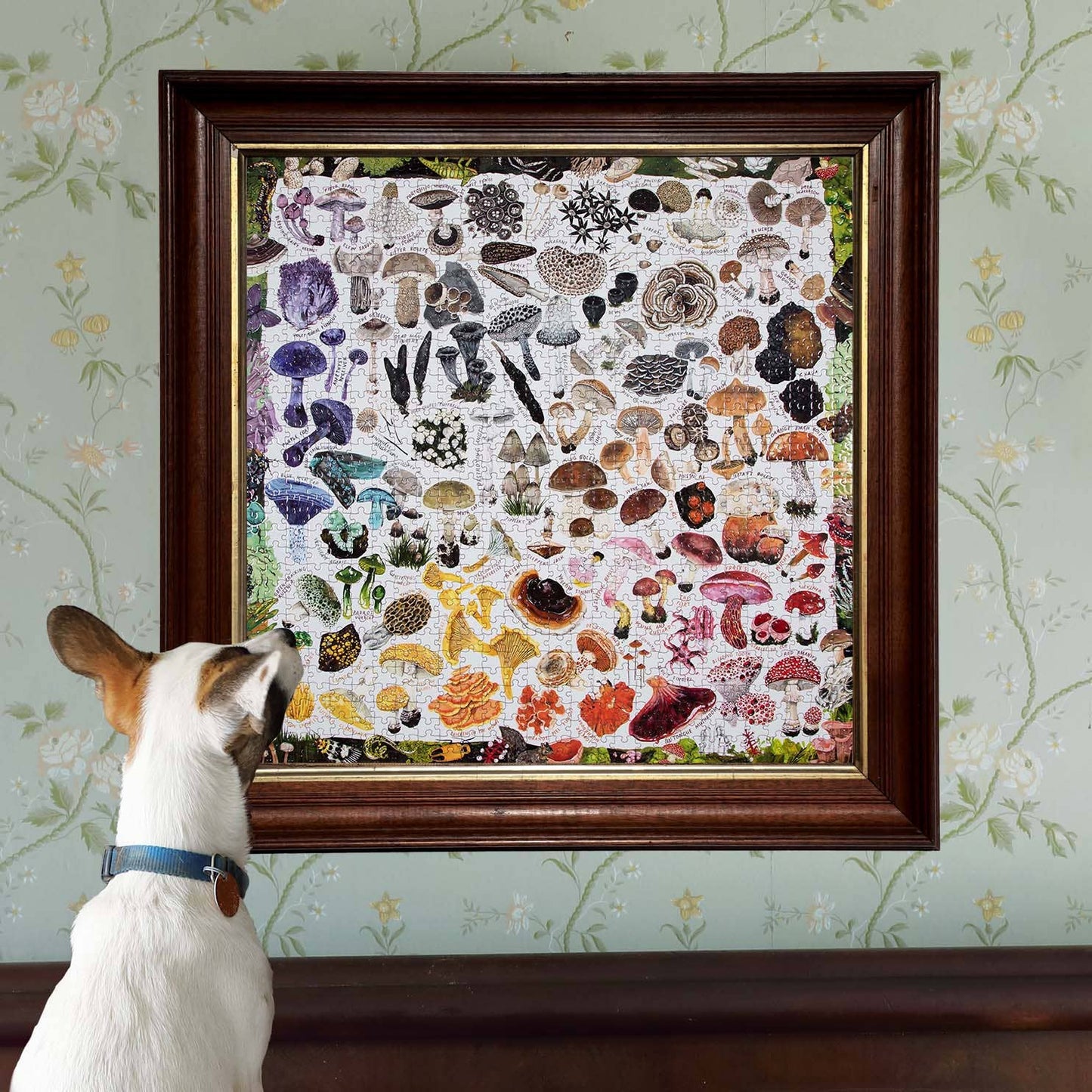 Mushroom Rainbow 1000 Piece Square Jigsaw Puzzle