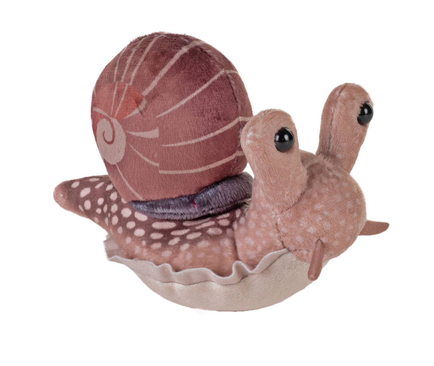 Pocketkins Snail