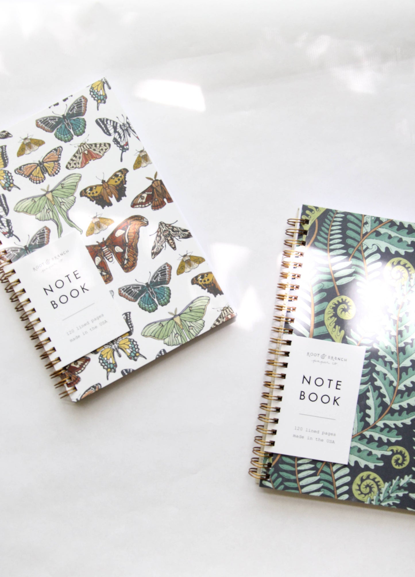Butterfly + Moth Spiral Bound Notebook: Lined