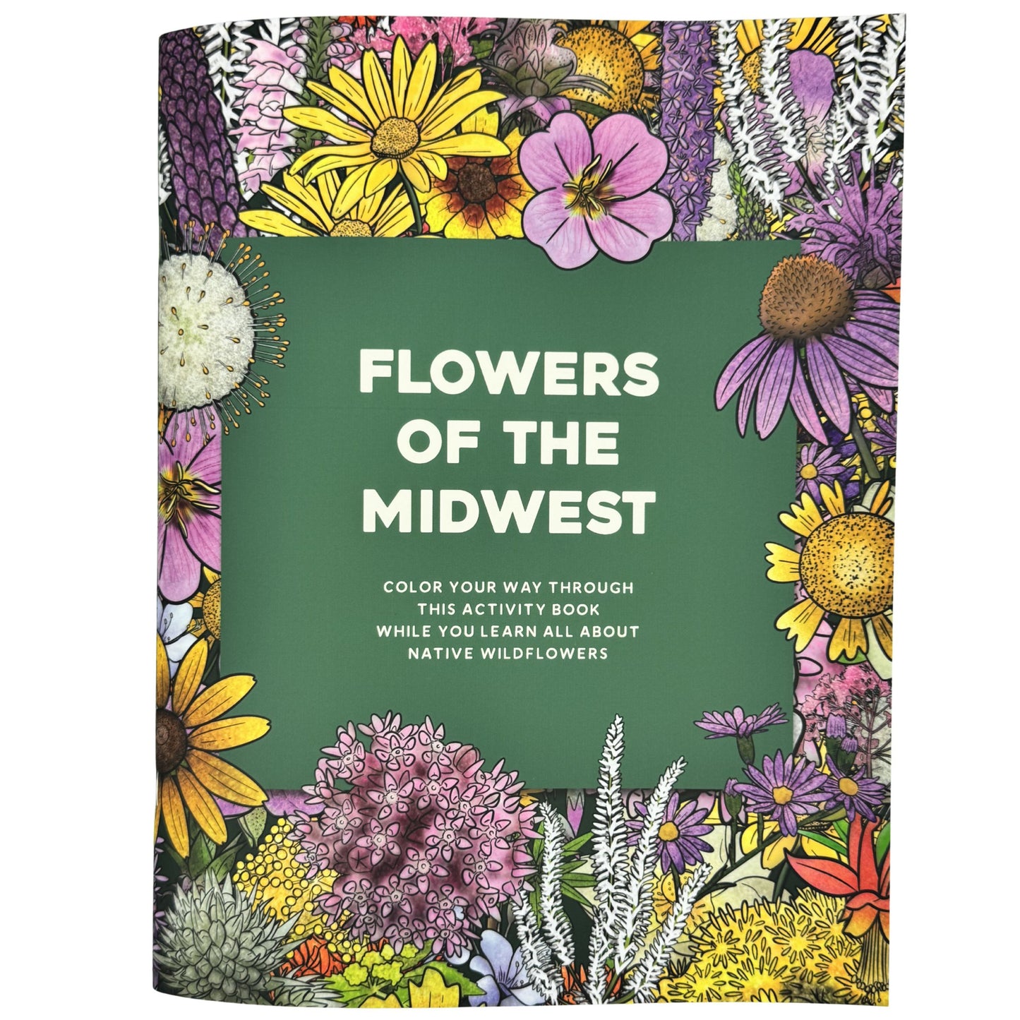 Seeds to Sanctuary Activity Book