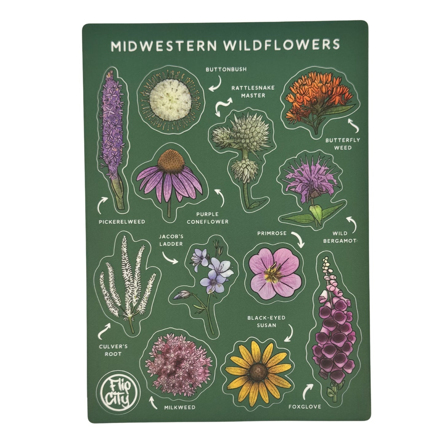 Seed to Sanctuary Stickers