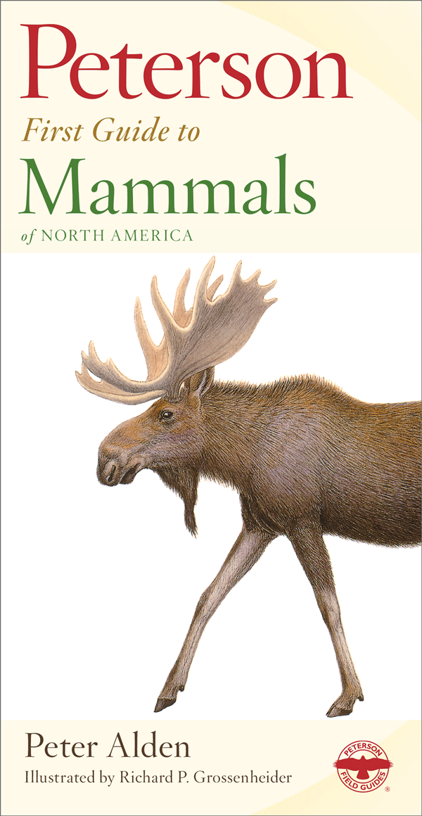 Peterson First Guides to Mammals of North America
