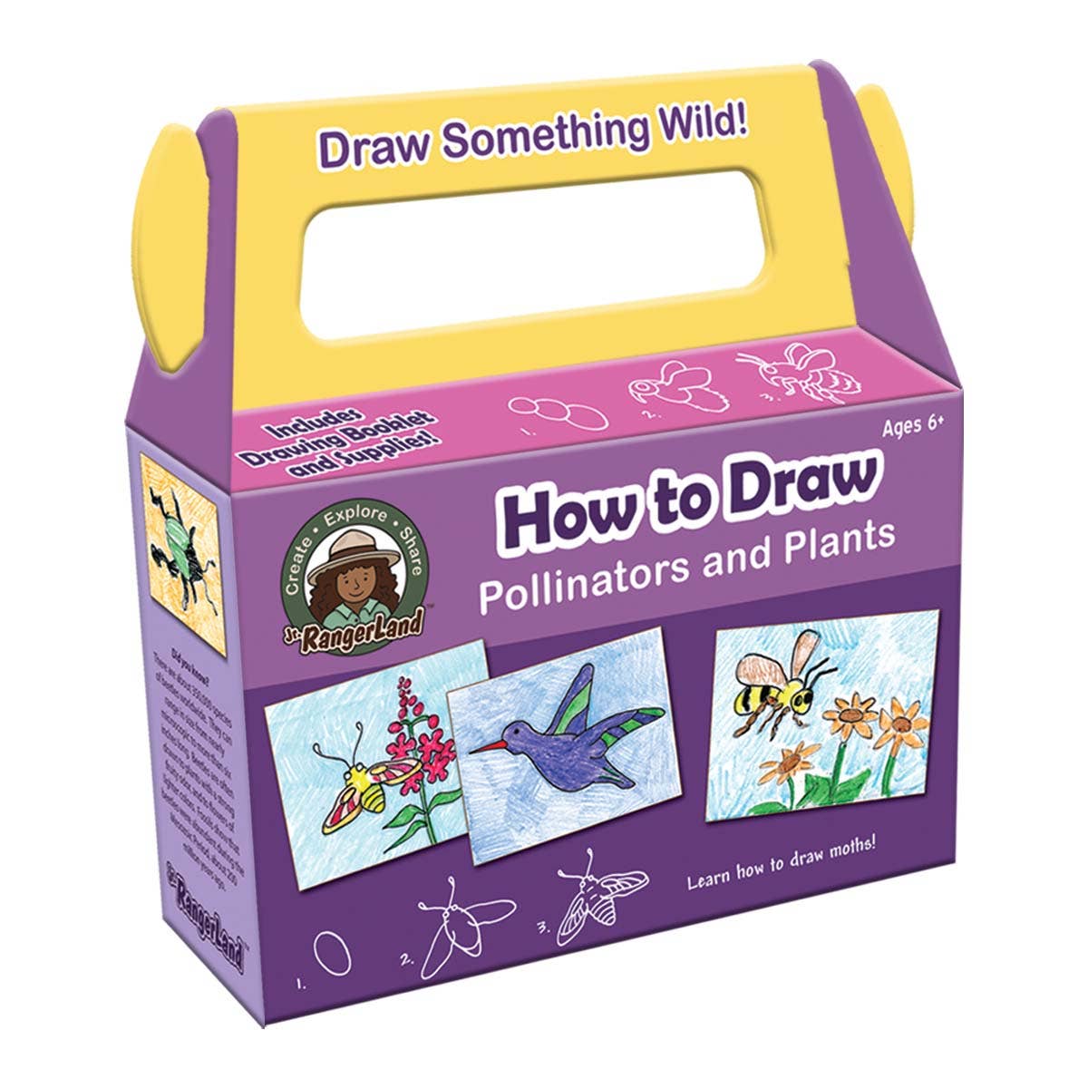 How to Draw Pollinators and Plants Art Kit