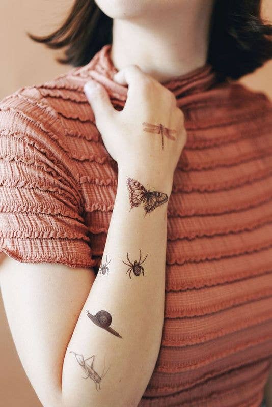 NGA Insects Tiny Tin