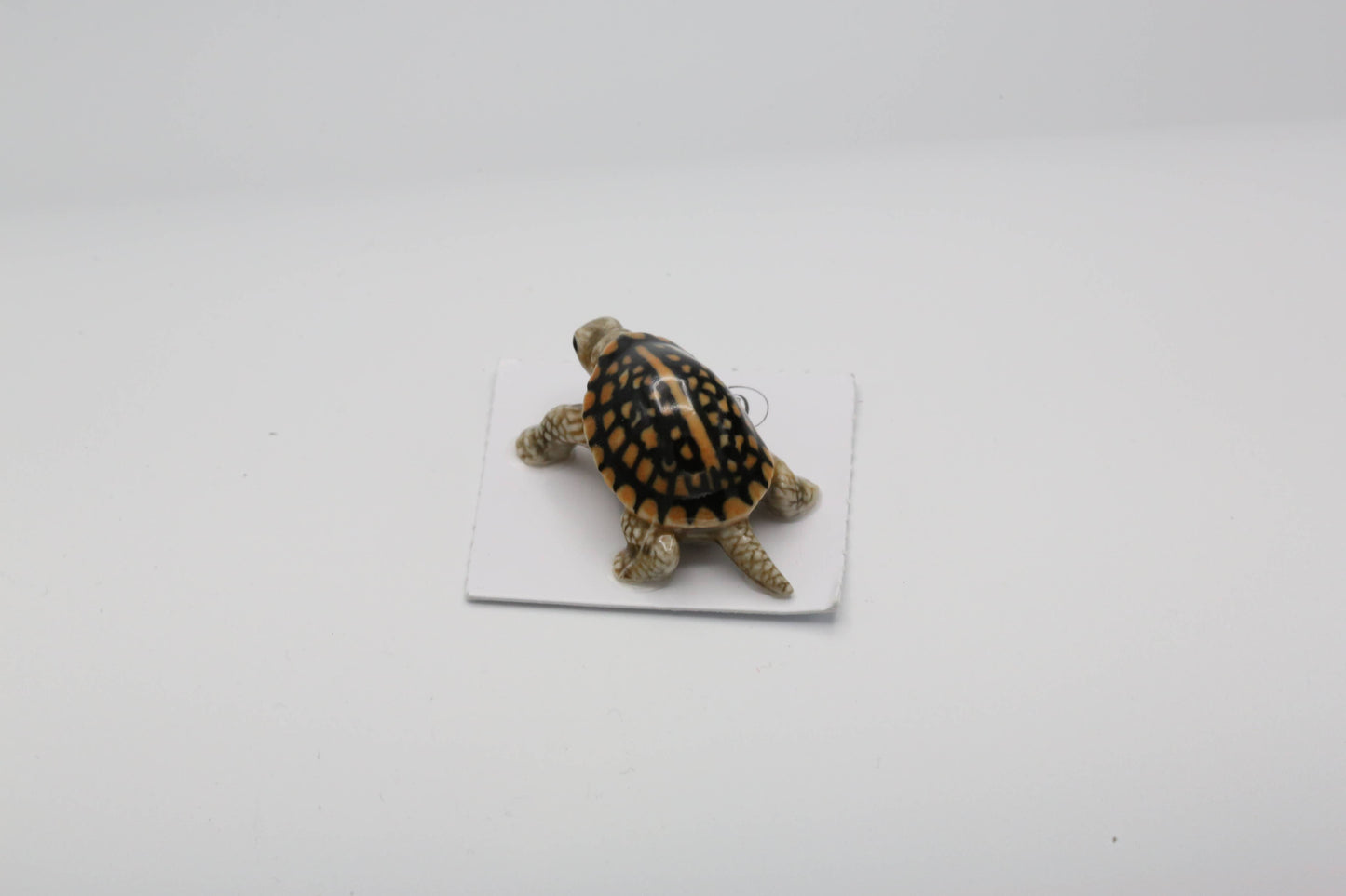 Dom Box Turtle Porcelain Miniature