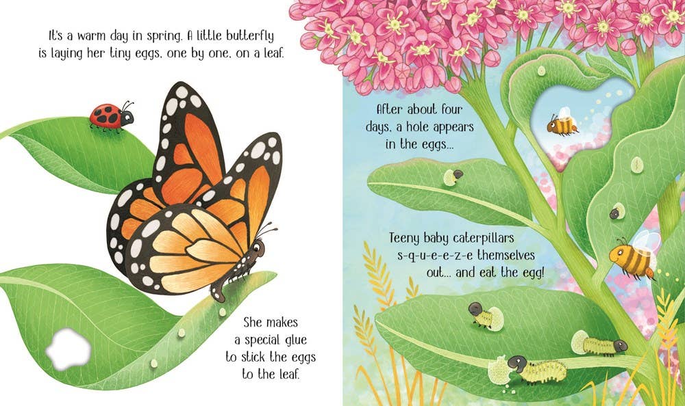 One Little Butterfly board book : Usborne