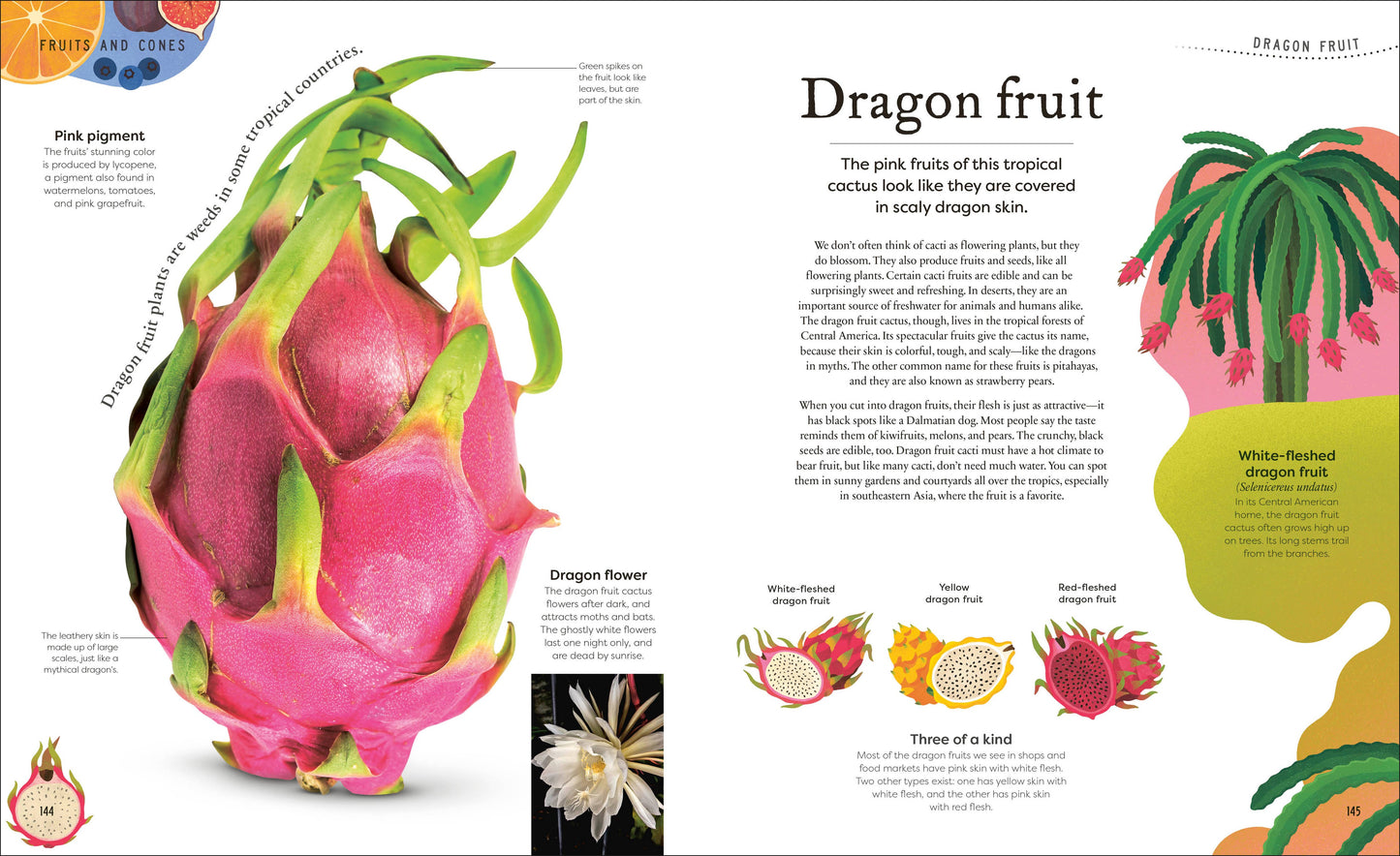 The Secret World Of Plants