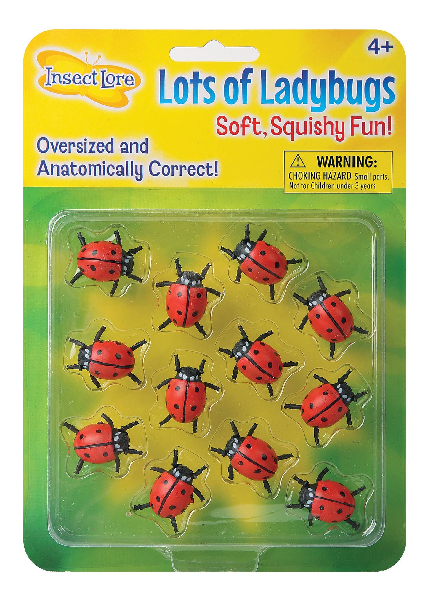 Lots of Ladybugs