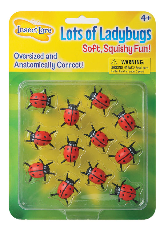 Lots of Ladybugs