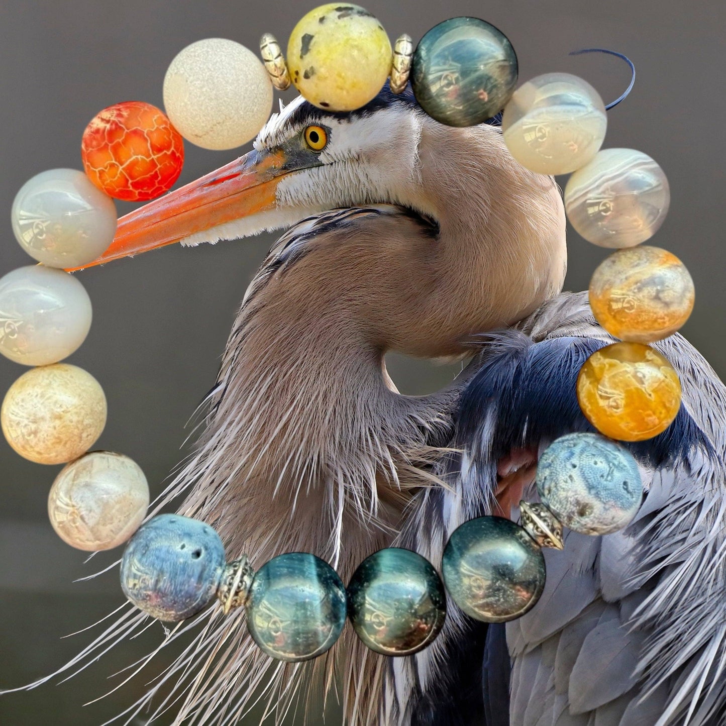 Blue Heron: Small/Medium (7")