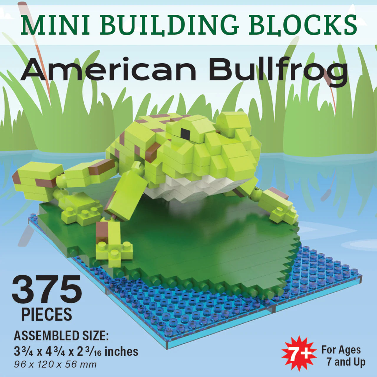 Mini Block Bullfrog