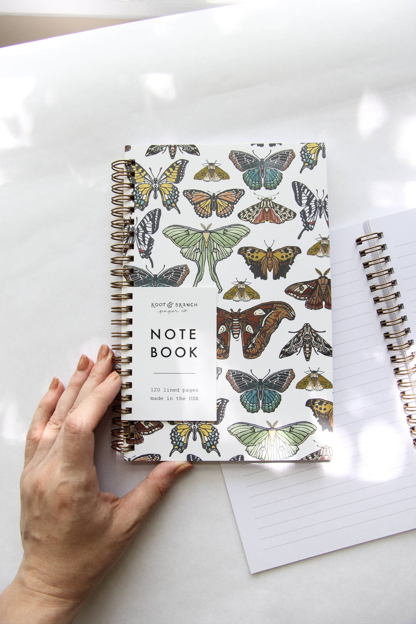 Butterfly + Moth Spiral Bound Notebook: Lined