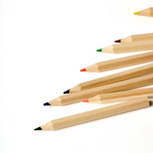 elseware colored pencils - case