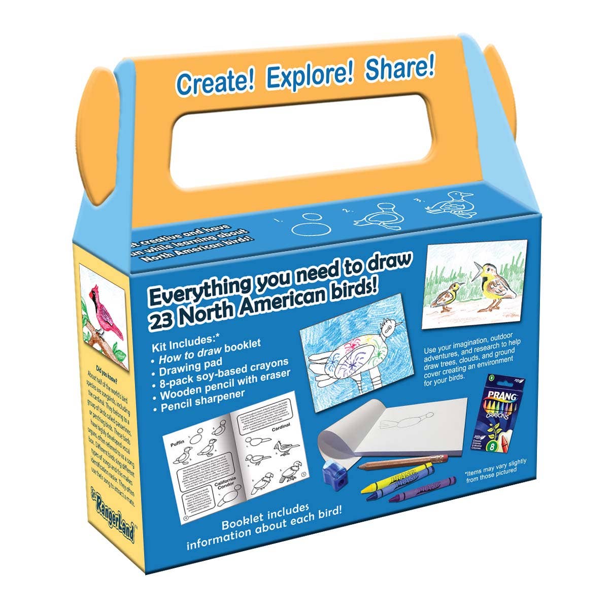 How to Draw North American Birds Art Kit