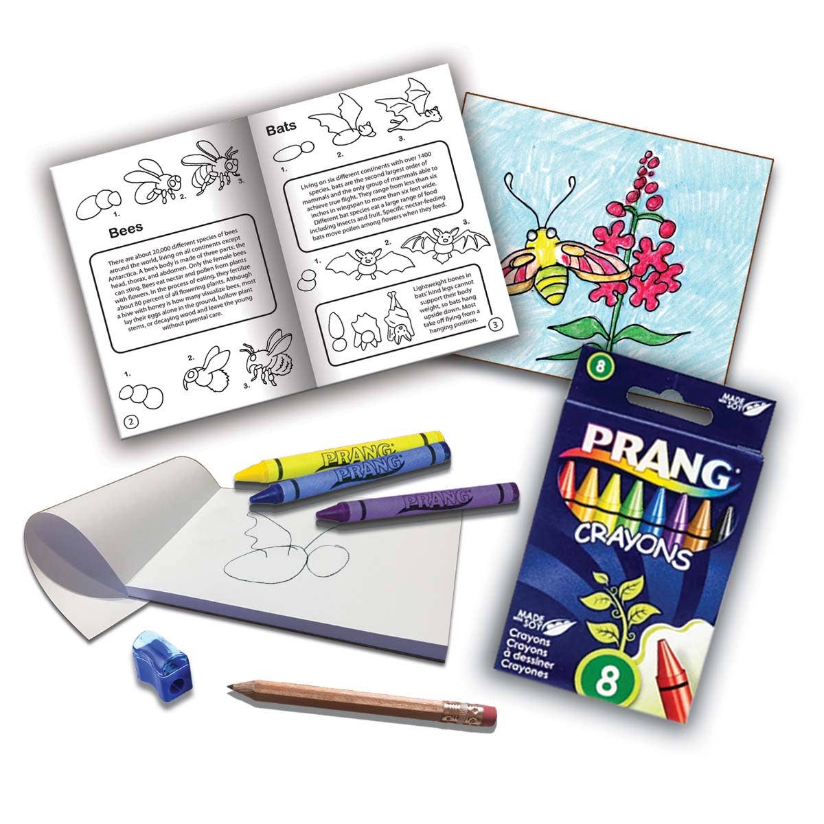How to Draw Pollinators and Plants Art Kit