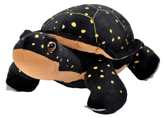 CK Spotted Turtle Stuffed Animal 12"