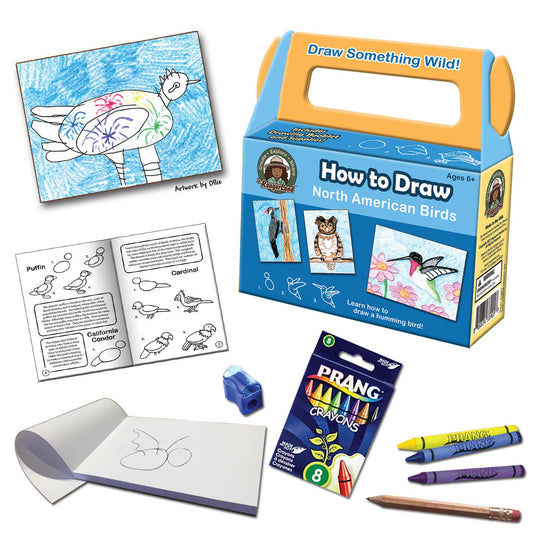 How to Draw North American Birds Art Kit