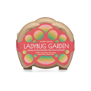 Curious Critters Ladybug Activity Kit