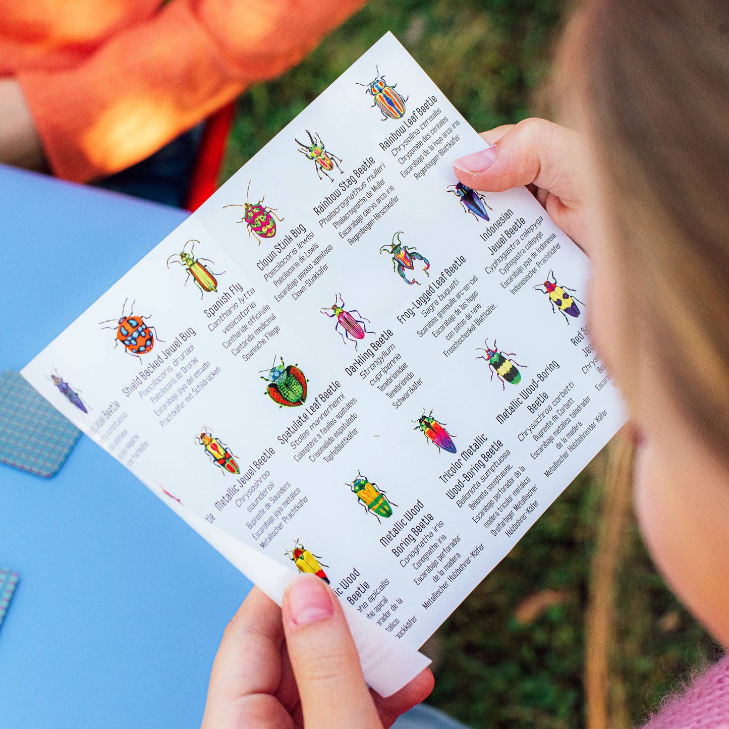 Beetles Little Memory & Matching Game