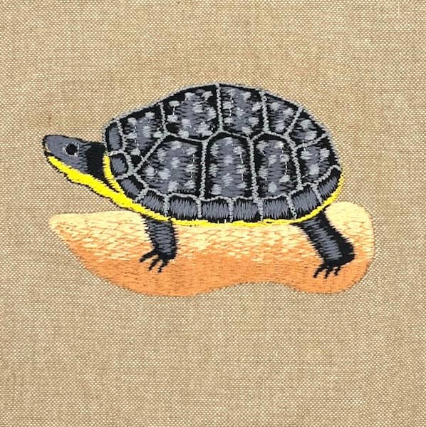 Blanding's Turtle Field Bag