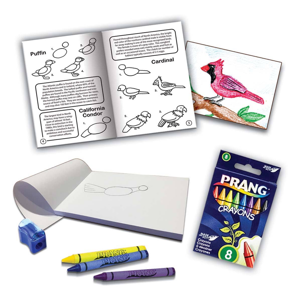 How to Draw North American Birds Art Kit