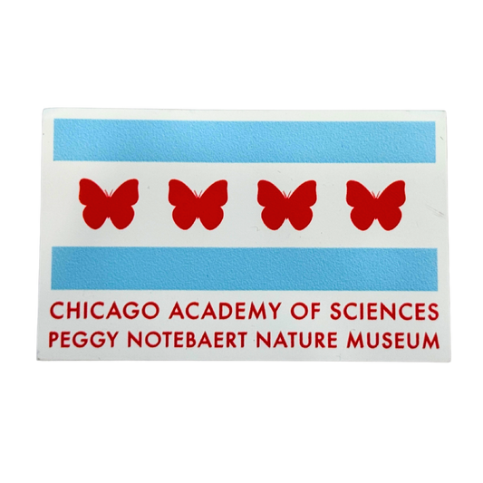Nature Museum Butterfly Flag Magnet