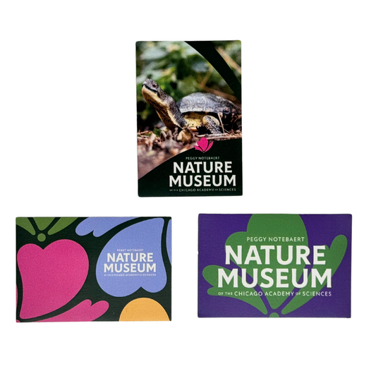 2x3 Rebrand Nature Museum Magnet