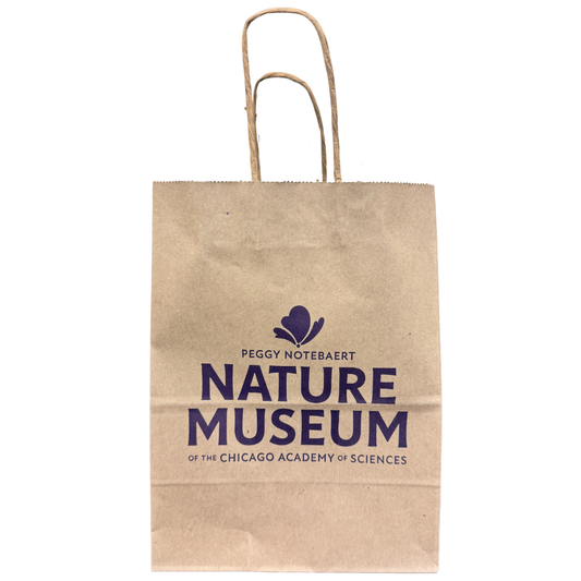 Rebrand Paper bag