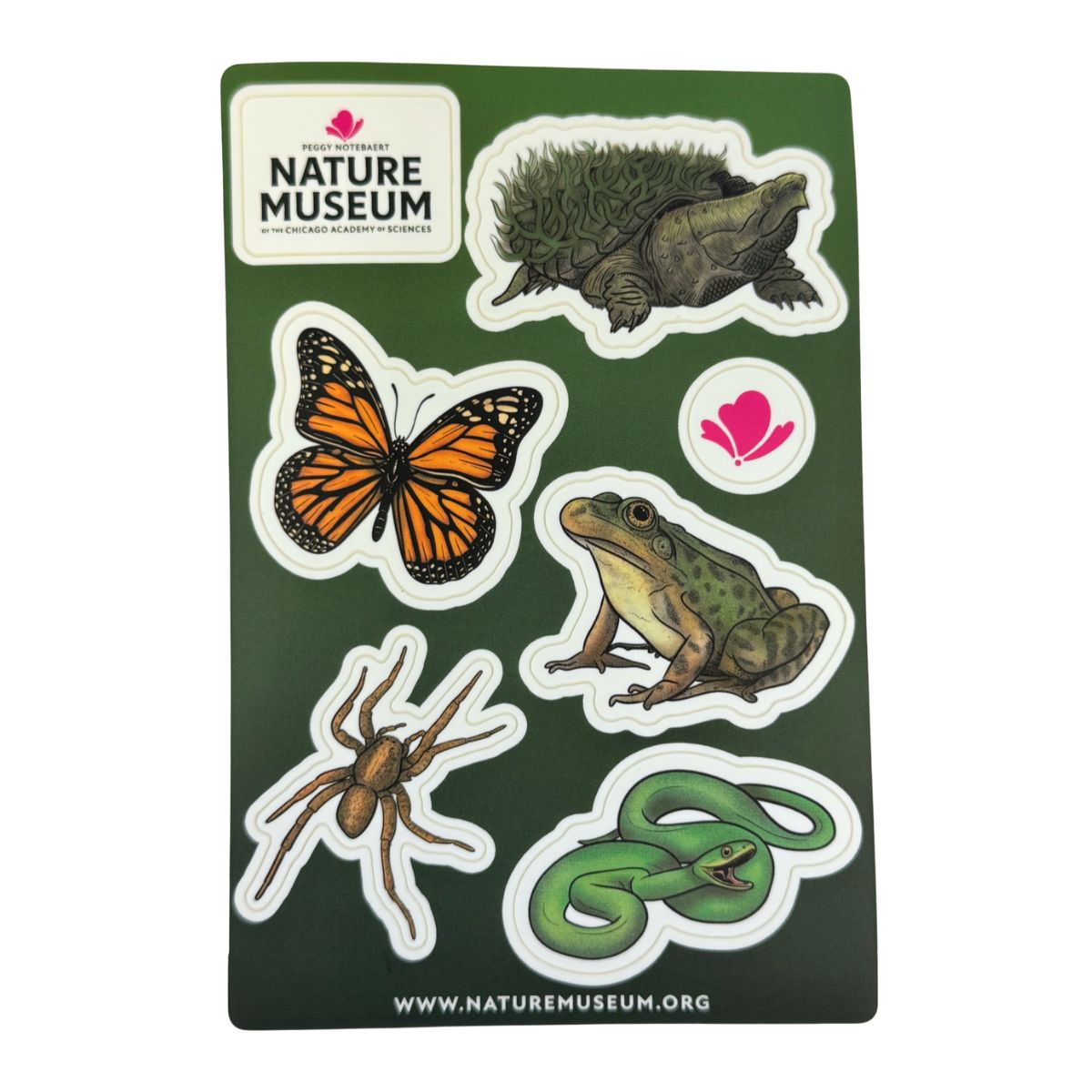 Nature Museum Animal Sticker Sheet