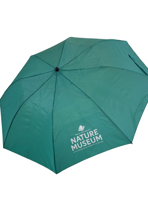 Nature Museum Umbrella