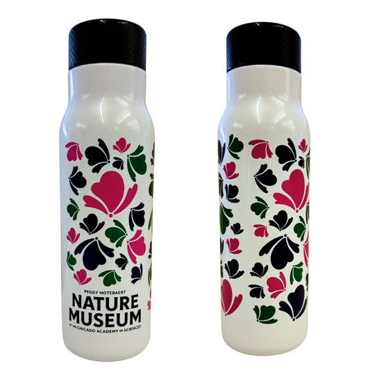 Nature Museum Water Bottle