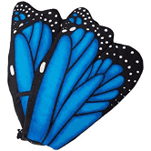 Plush Butterfly Wings