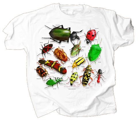 Vintage Bugs (Youth)