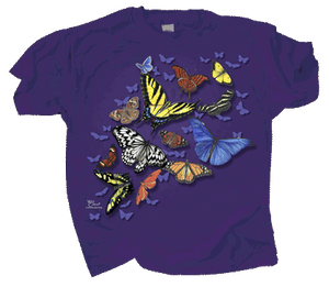 Butterfly Wonder(Youth)
