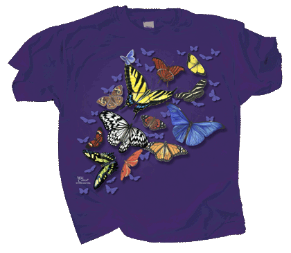 Butterfly Wonder(Youth)