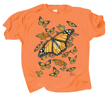 Monarch Kaleidoscope (Youth)