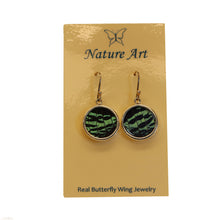 Butterfly Wing Earrings