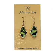 Butterfly Wing Earrings