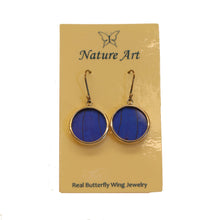 Butterfly Wing Earrings
