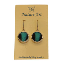 Butterfly Wing Earrings